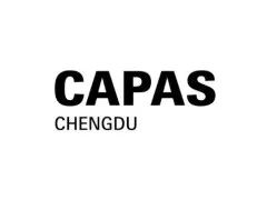 成都汽车零配件及售后服务展览会CAPAS