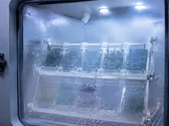 盐雾测试里的三防漆：ASTM B117 和实际海洋环境的差距有多大